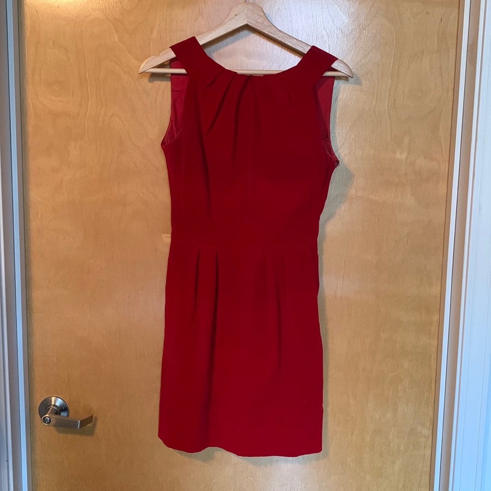 Vintage red velvet dress